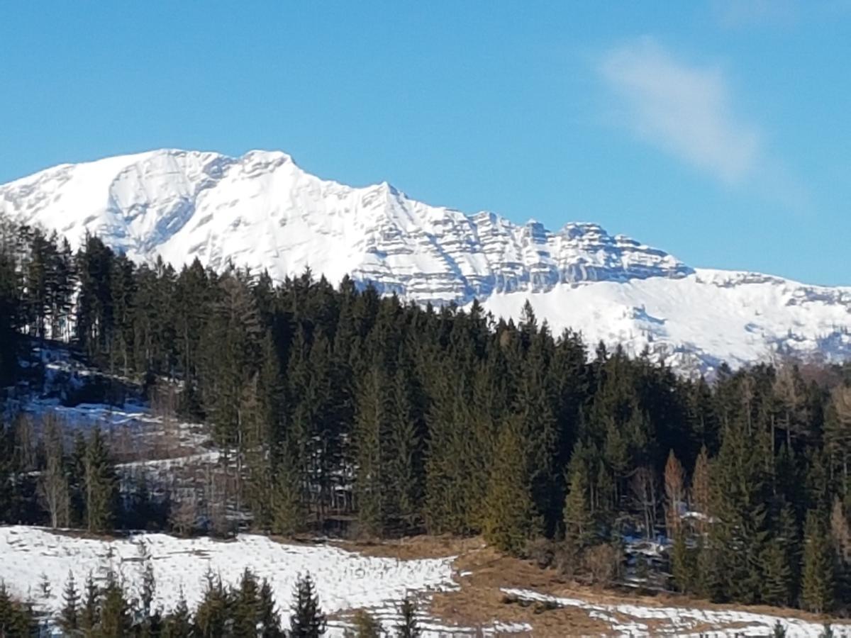 Berliner Ecke Hotel Mariazell Eksteriør billede